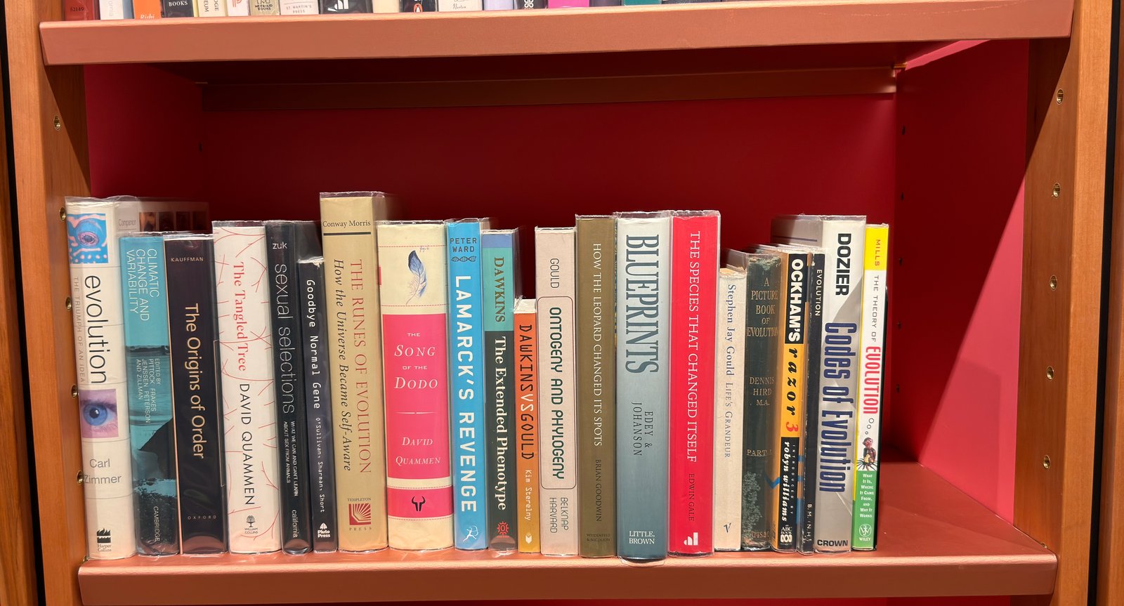 Shelfie Capture from May 27, 2026 10:55 AM