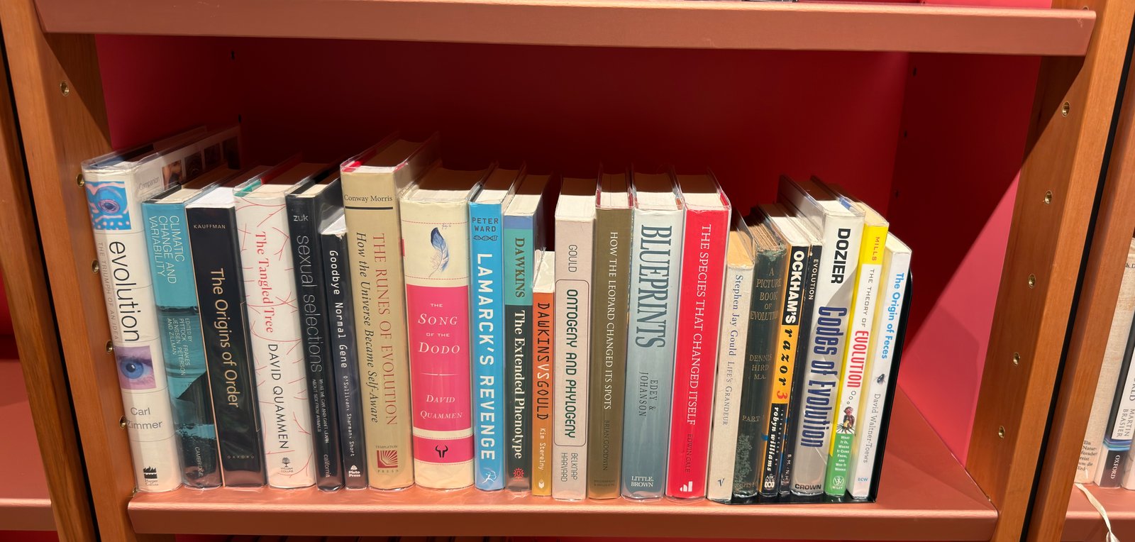 Shelfie Capture from Jun 1, 2026 4:40 PM