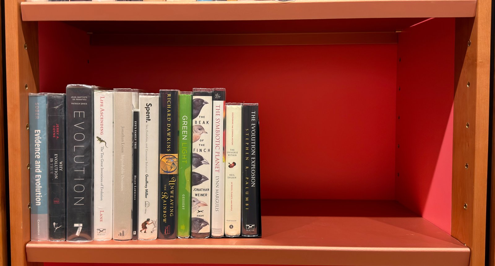 Shelfie Capture from May 27, 2026 10:55 AM
