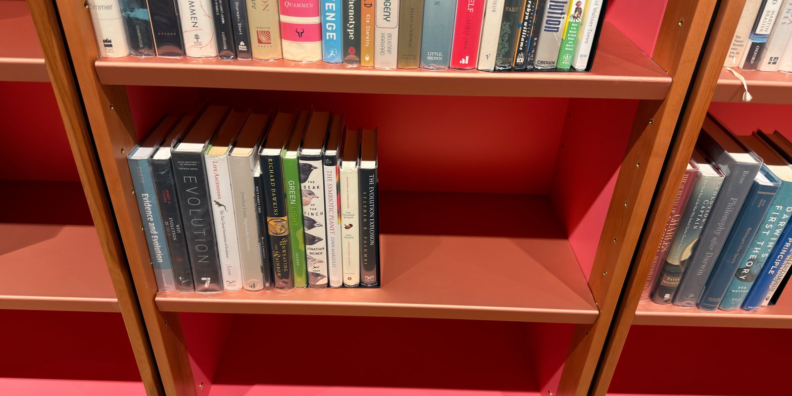 Shelfie Capture from Jun 1, 2026 4:40 PM