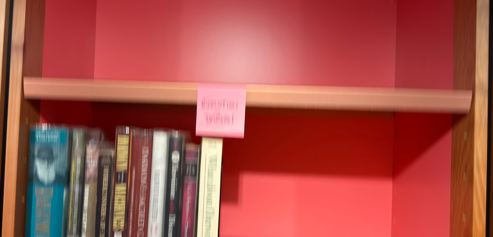 Shelfie Capture from May 27, 2026 10:55 AM