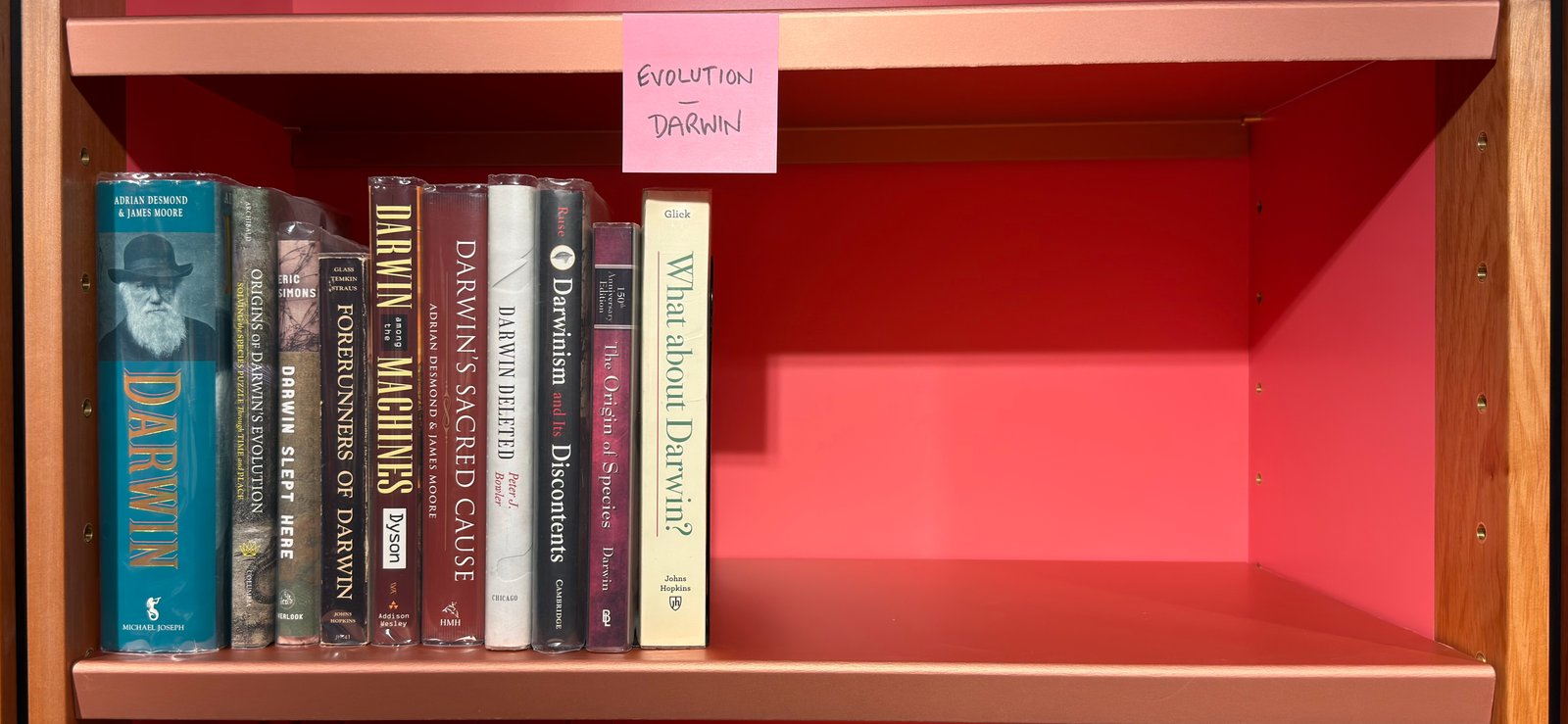 Shelfie Capture from May 27, 2026 10:55 AM