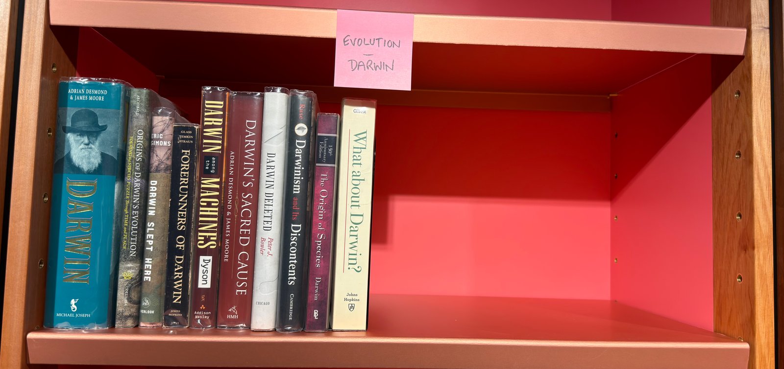 Shelfie Capture from Jun 1, 2026 4:40 PM
