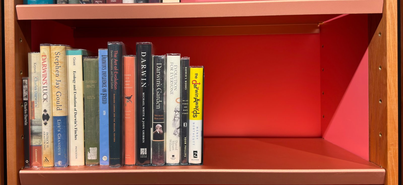 Shelfie Capture from May 27, 2026 10:55 AM