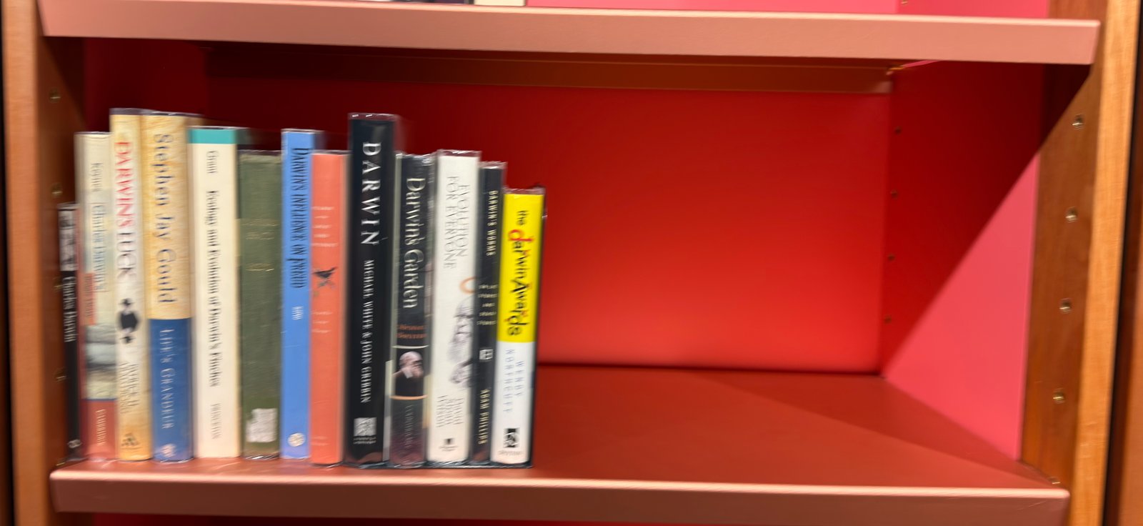 Shelfie Capture from Jun 1, 2026 4:40 PM
