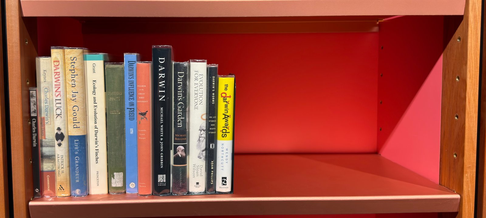 Shelfie Capture from Jun 12, 2026 2:16 PM
