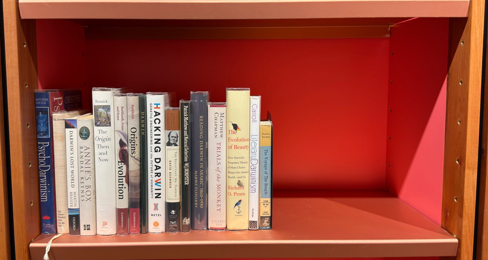 Shelfie Capture from May 27, 2026 10:55 AM
