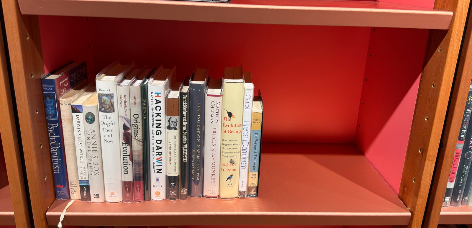 Shelfie Capture from Jun 1, 2026 4:40 PM
