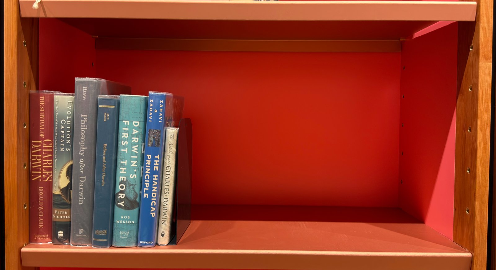 Shelfie Capture from May 27, 2026 10:55 AM
