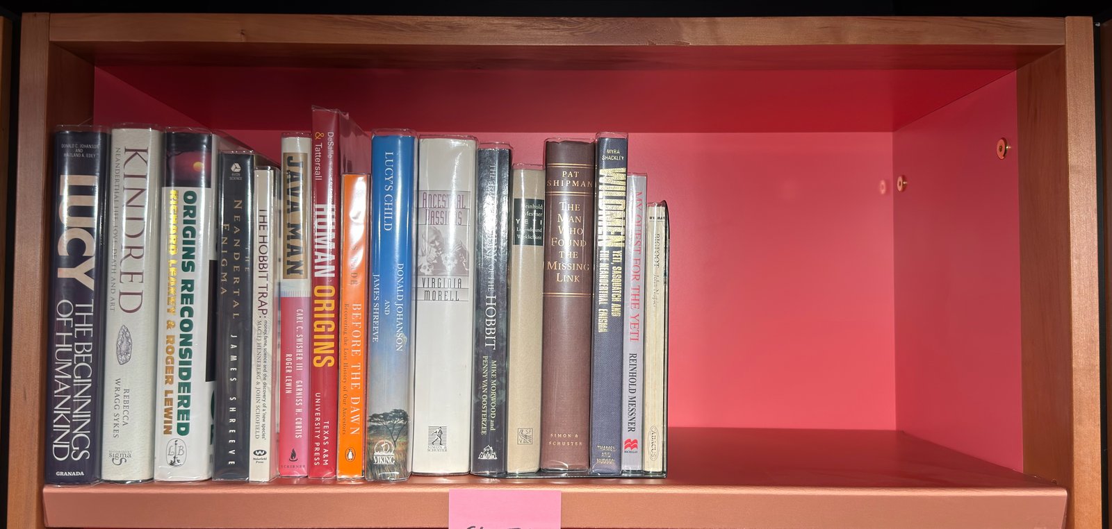 Shelfie Capture from May 27, 2026 10:55 AM