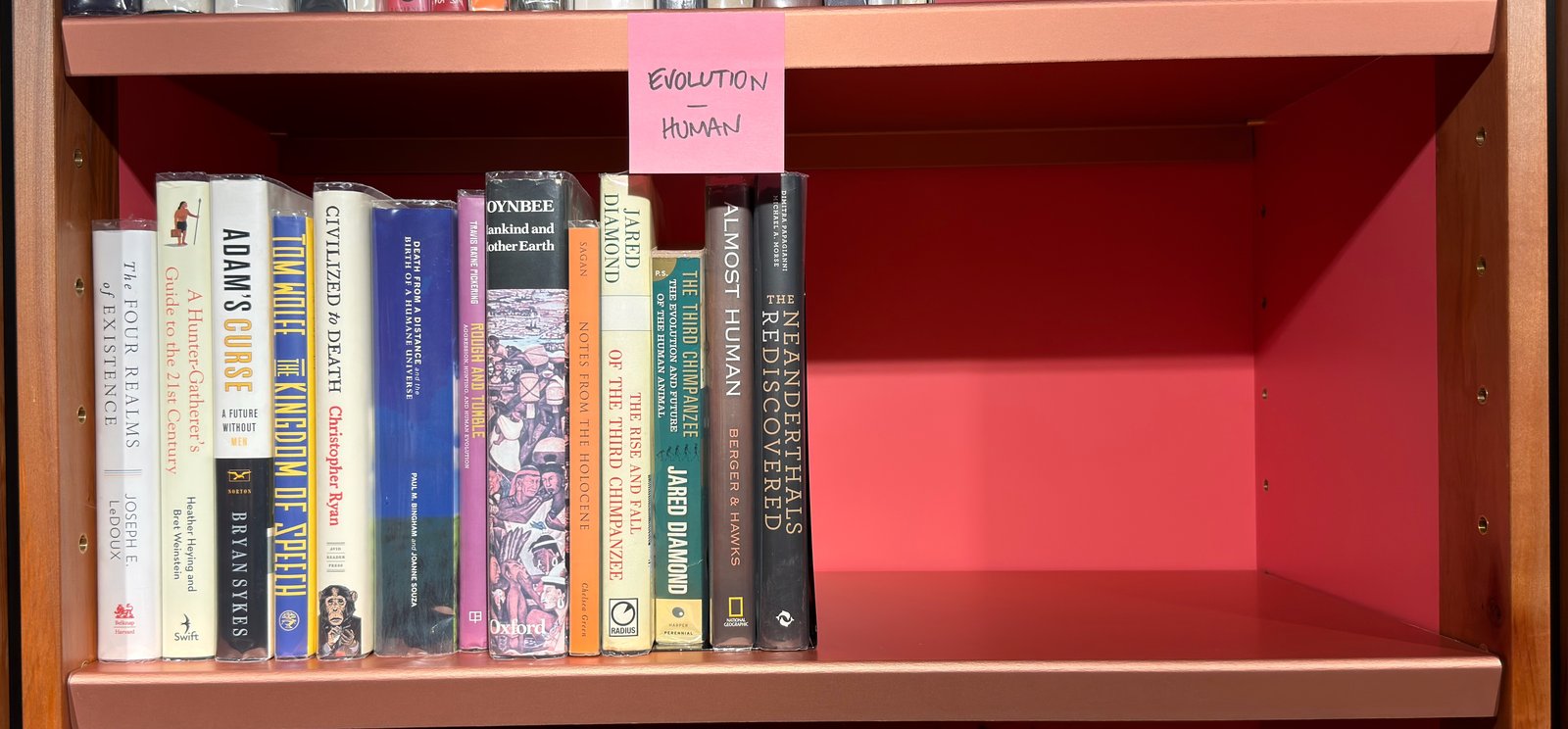 Shelfie Capture from May 27, 2026 10:55 AM