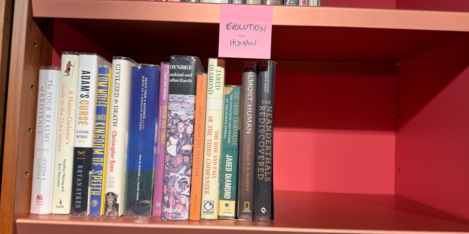 Shelfie Capture from Jun 1, 2026 4:40 PM