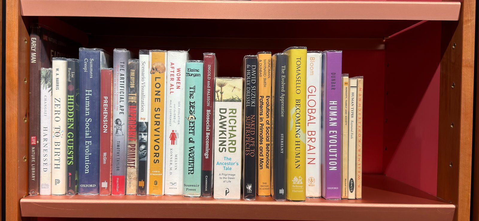 Shelfie Capture from May 27, 2026 10:56 AM