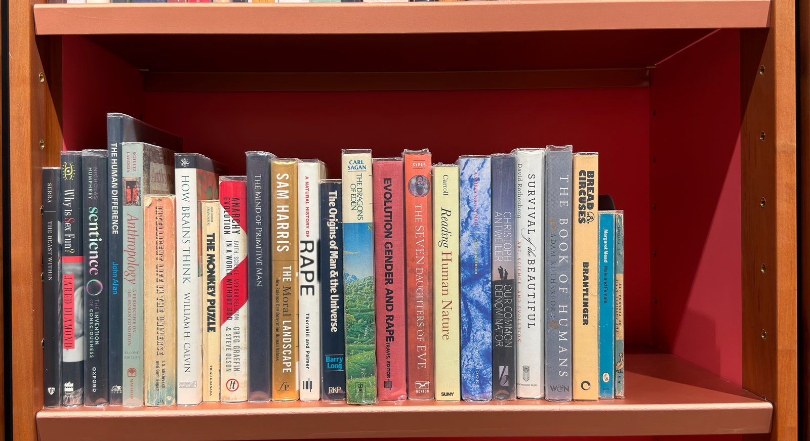 Shelfie Capture from May 27, 2026 10:56 AM