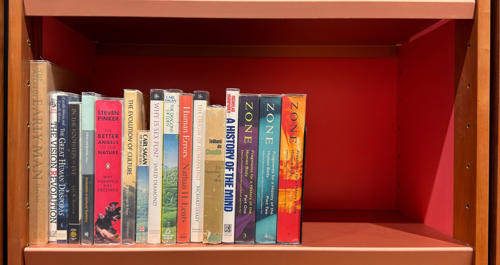 Shelfie Capture from May 27, 2026 10:56 AM