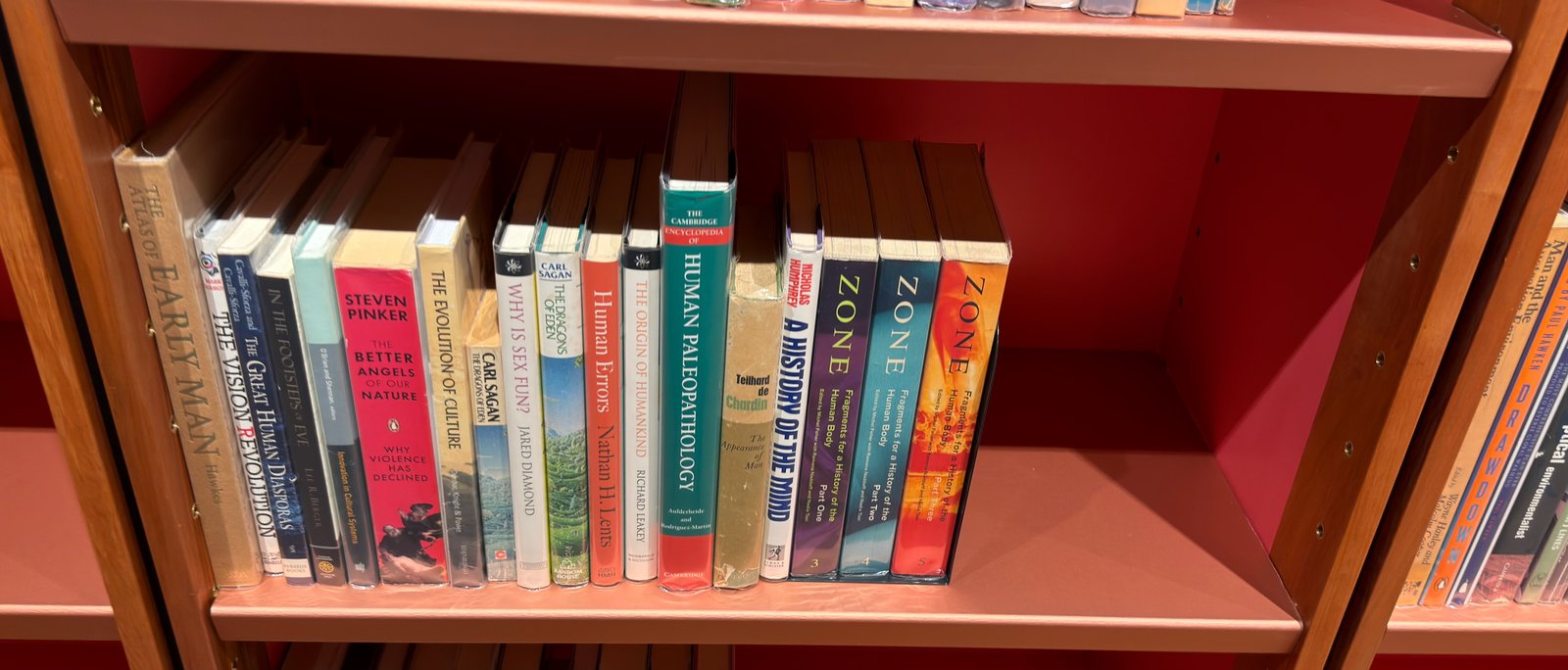 Shelfie Capture from Jun 1, 2026 4:40 PM