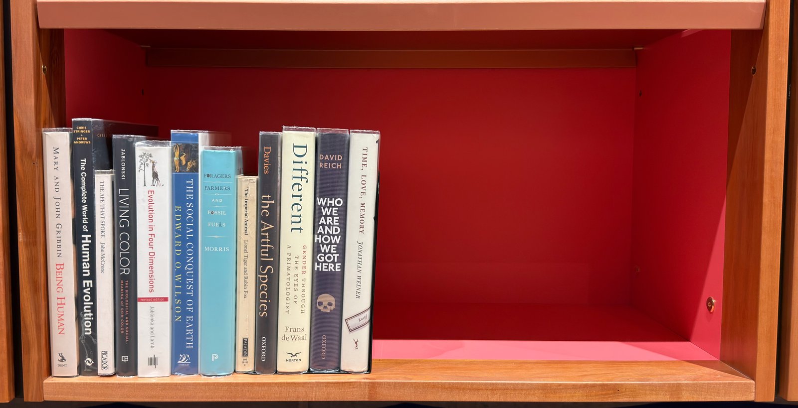 Shelfie Capture from May 27, 2026 10:56 AM