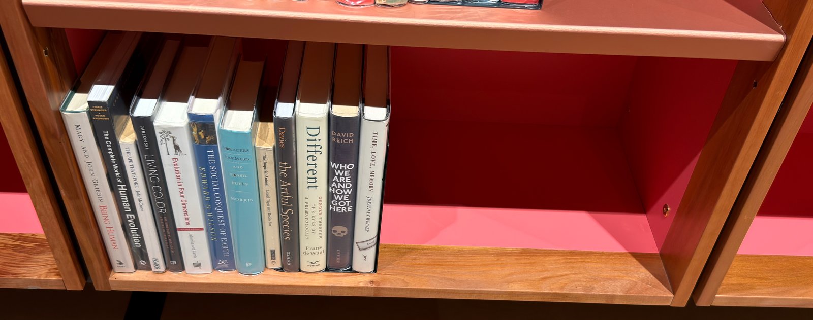 Shelfie Capture from Jun 1, 2026 4:40 PM