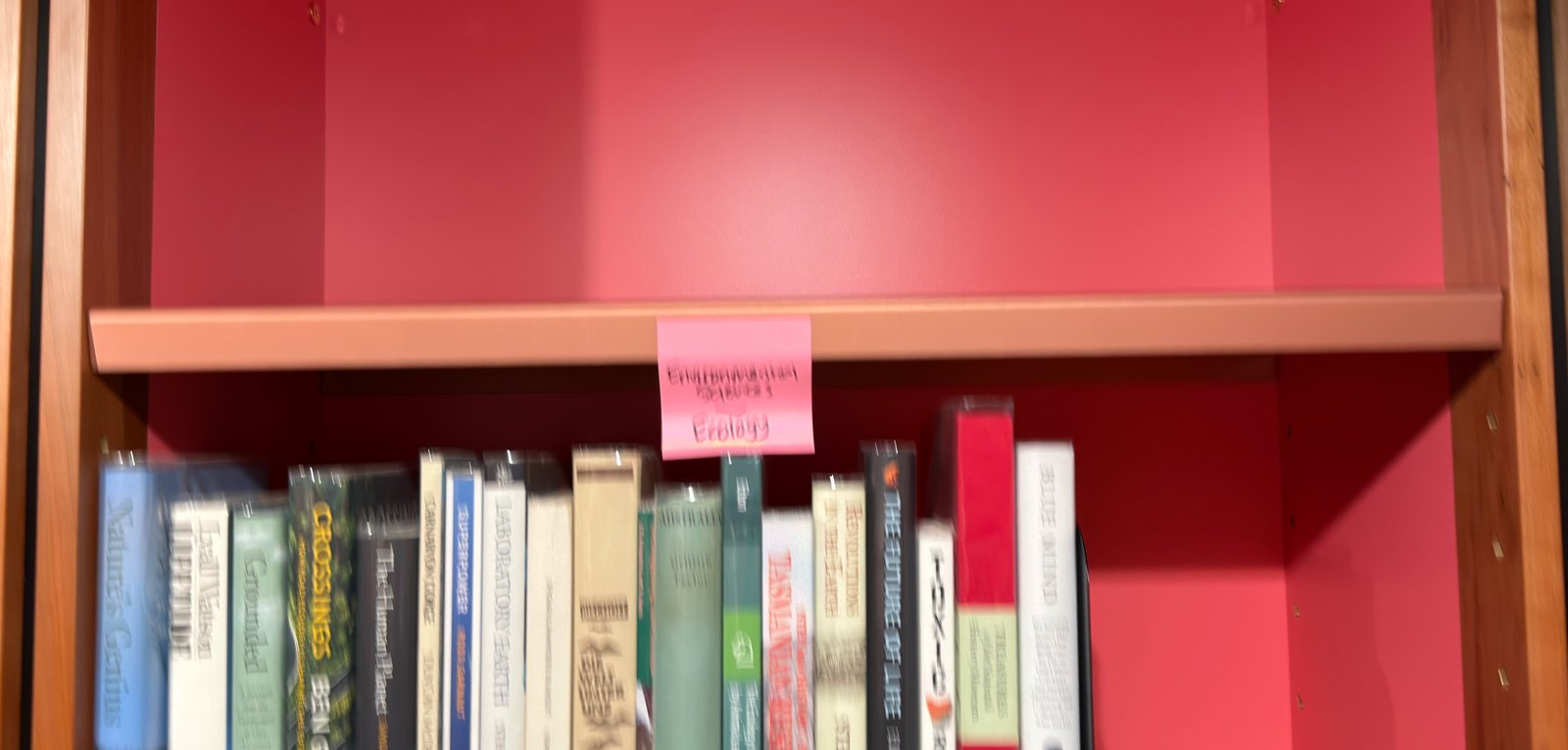 Shelfie Capture from May 27, 2026 10:56 AM