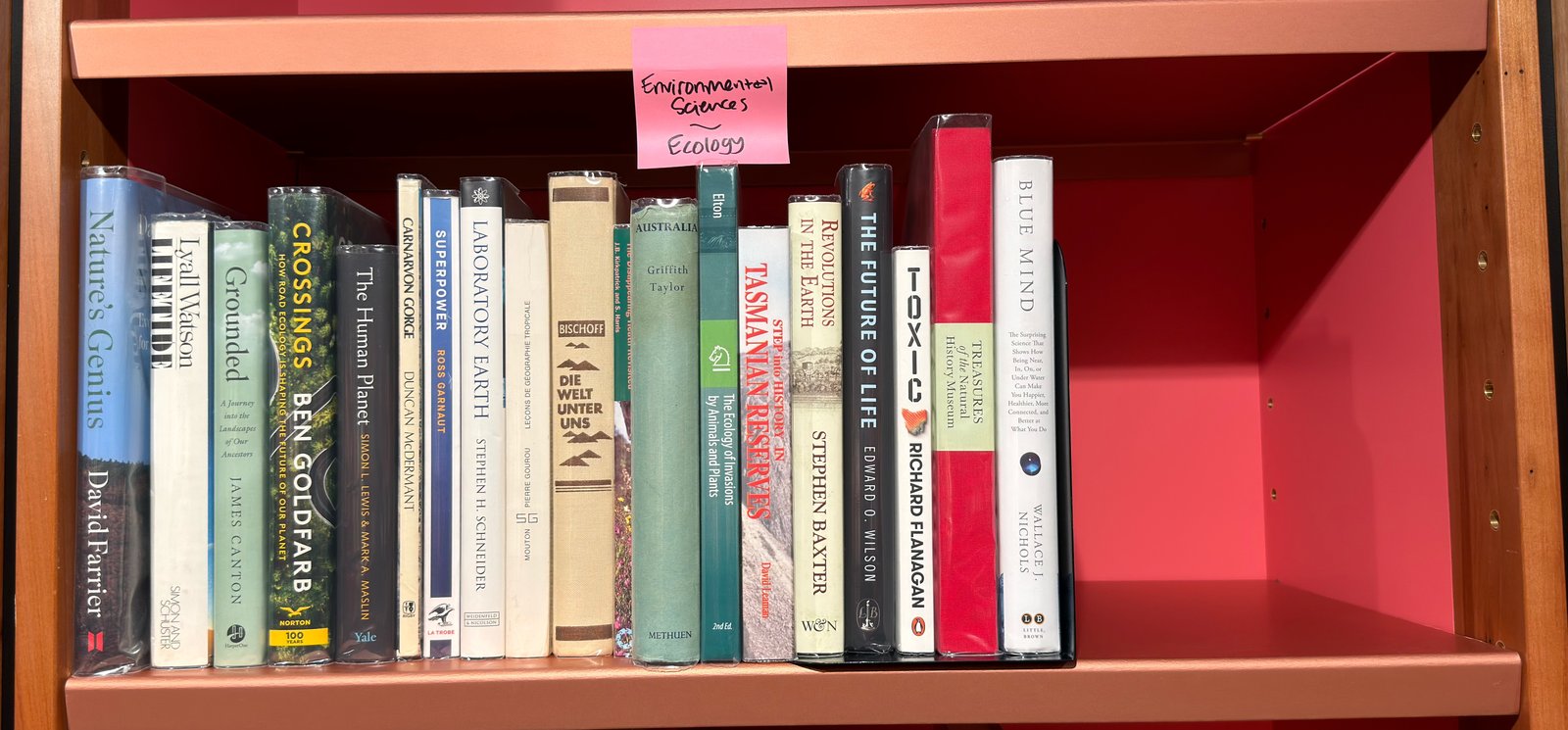 Shelfie Capture from May 27, 2026 10:56 AM