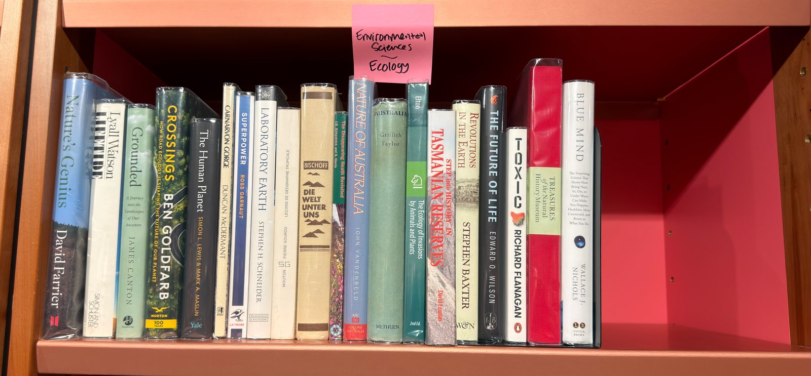 Shelfie Capture from May 28, 2026 3:24 PM