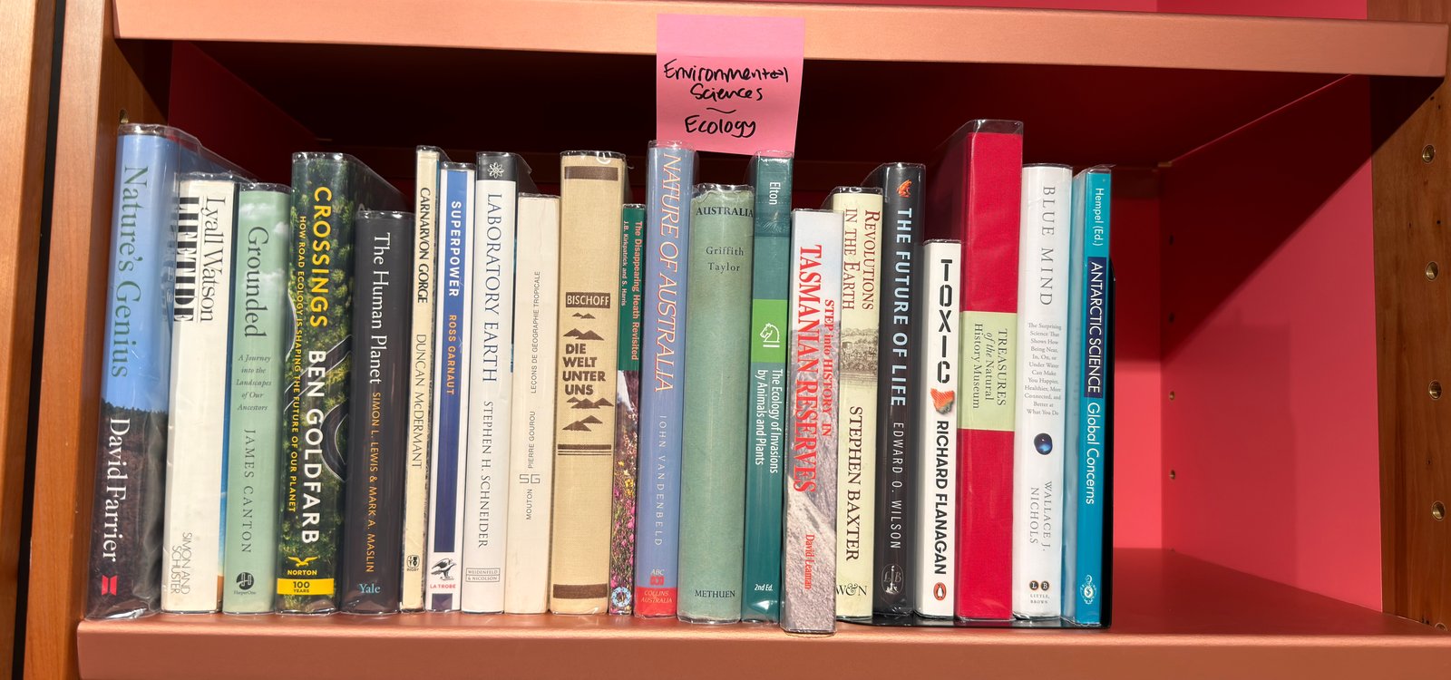 Shelfie Capture from Jun 1, 2026 4:41 PM