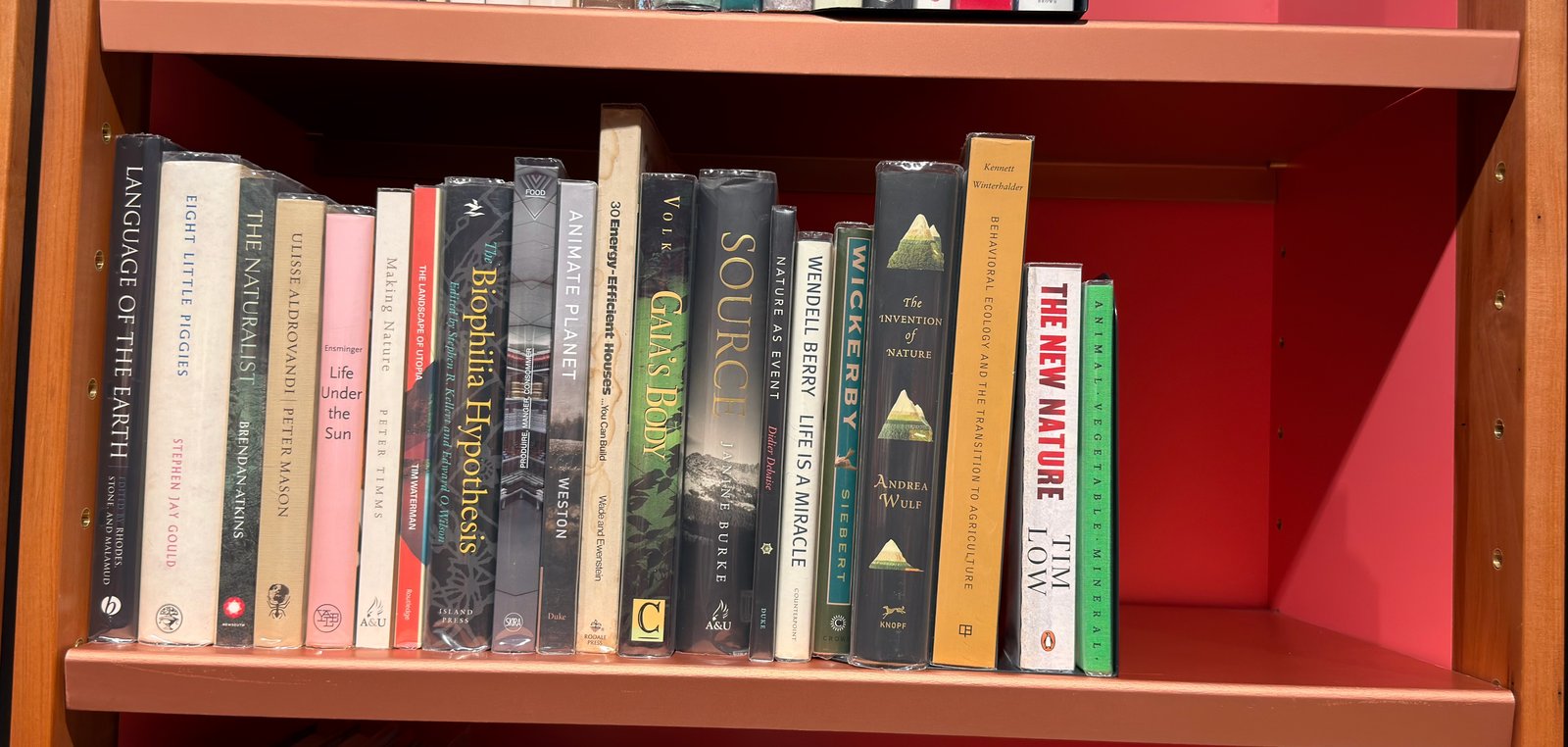 Shelfie Capture from May 27, 2026 10:56 AM
