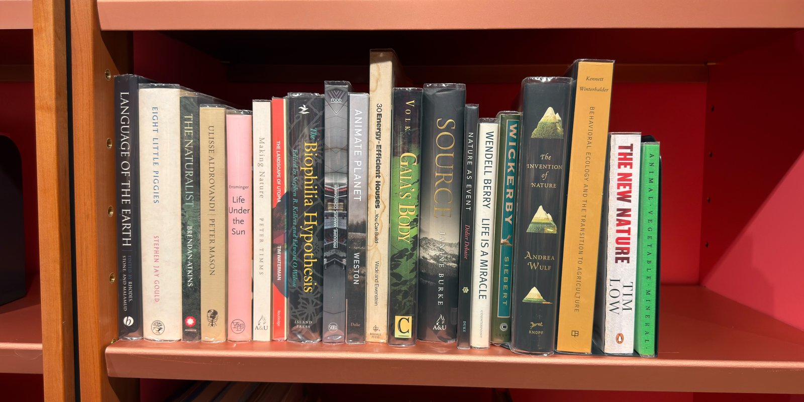Shelfie Capture from May 28, 2026 3:24 PM