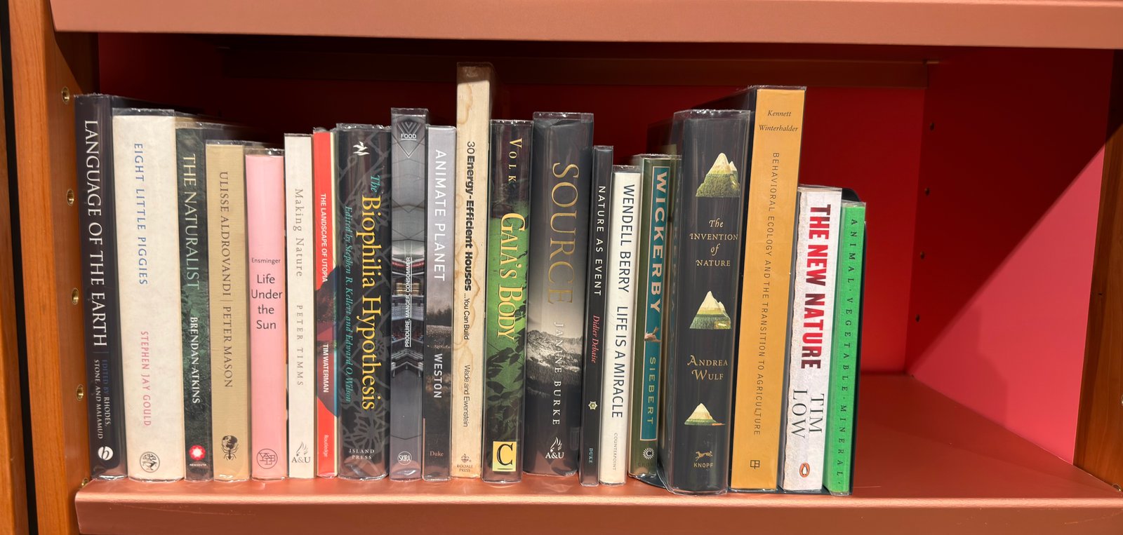 Shelfie Capture from Jun 1, 2026 4:41 PM