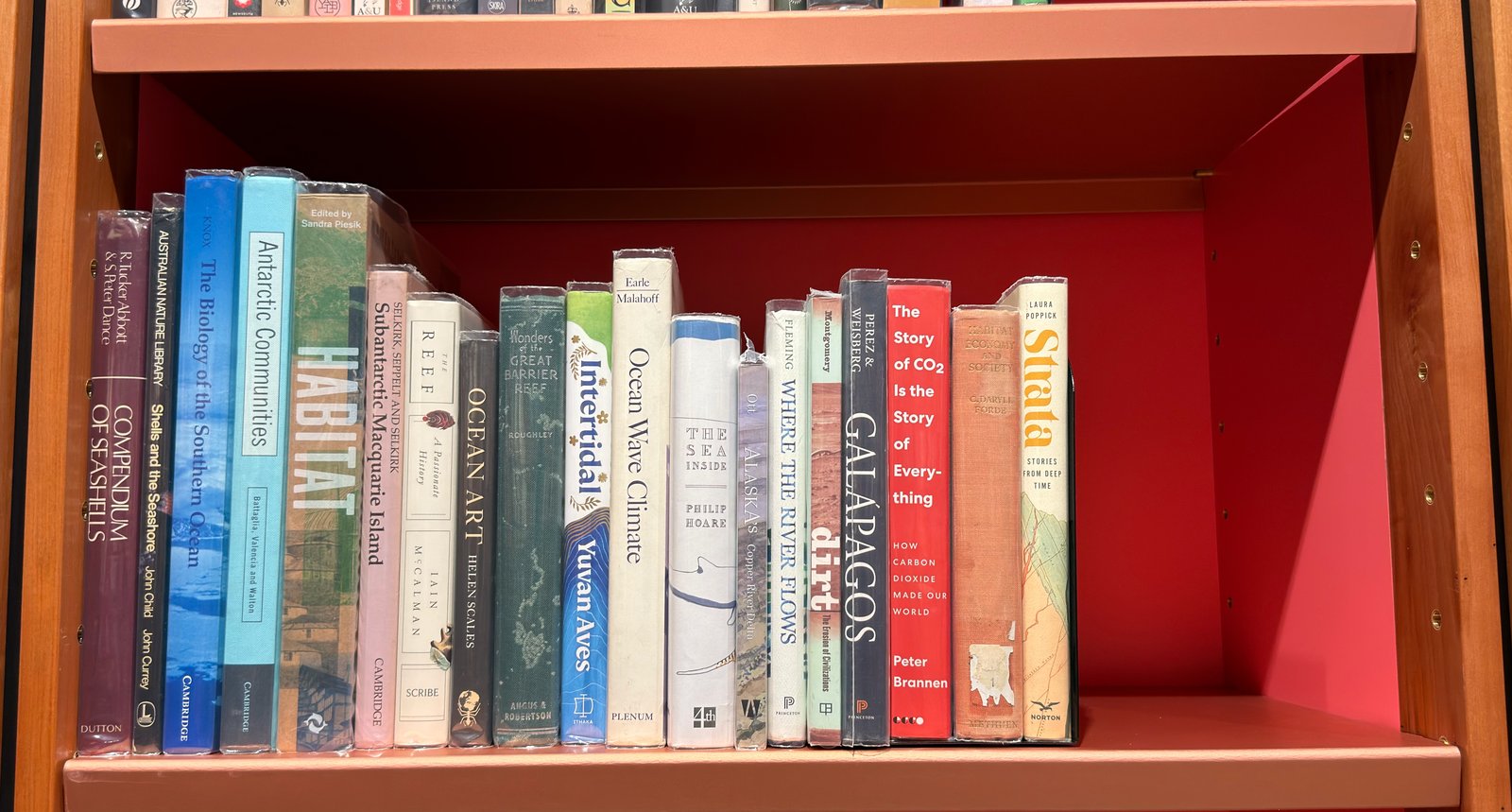 Shelfie Capture from May 27, 2026 10:56 AM