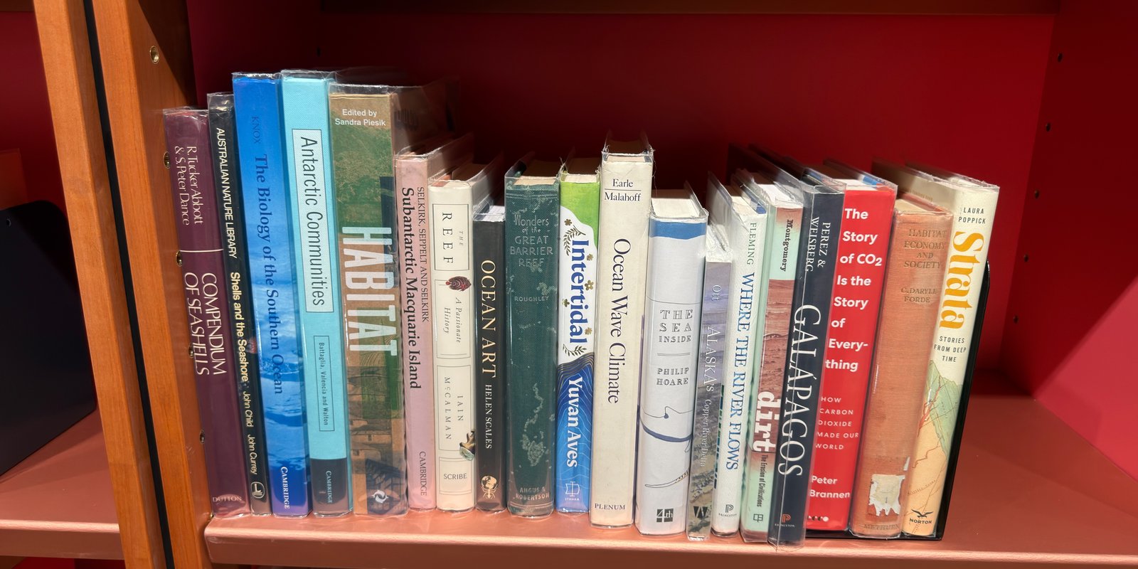 Shelfie Capture from May 28, 2026 3:24 PM