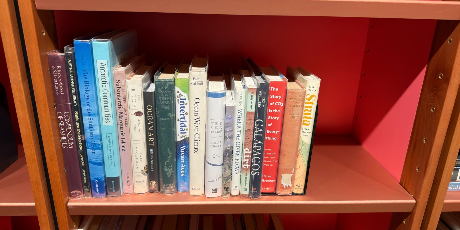 Shelfie Capture from Jun 1, 2026 4:41 PM