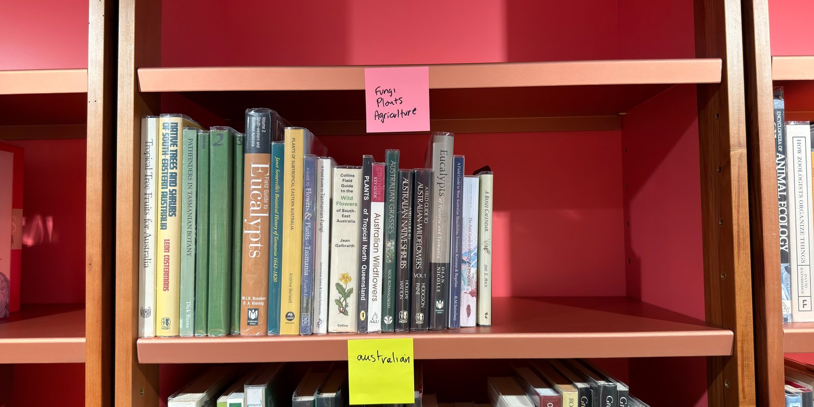 Shelfie Capture from May 27, 2026 10:56 AM