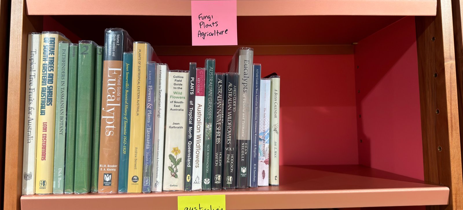 Shelfie Capture from Jun 1, 2026 4:42 PM