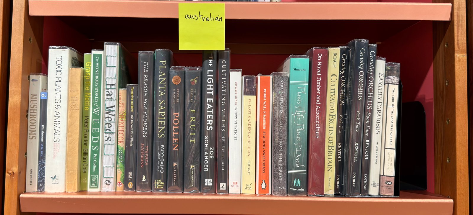 Shelfie Capture from May 27, 2026 10:56 AM