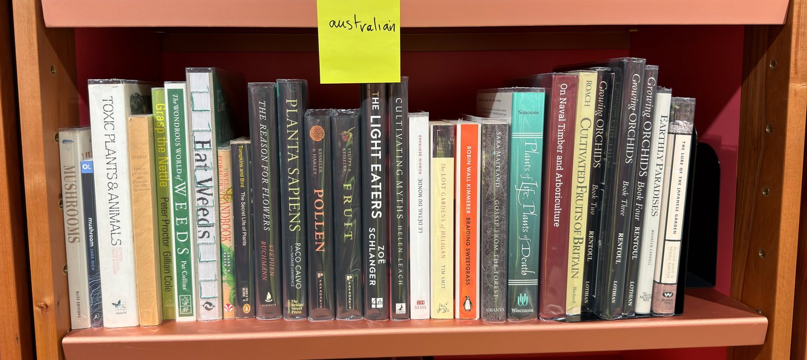 Shelfie Capture from Jun 1, 2026 4:42 PM