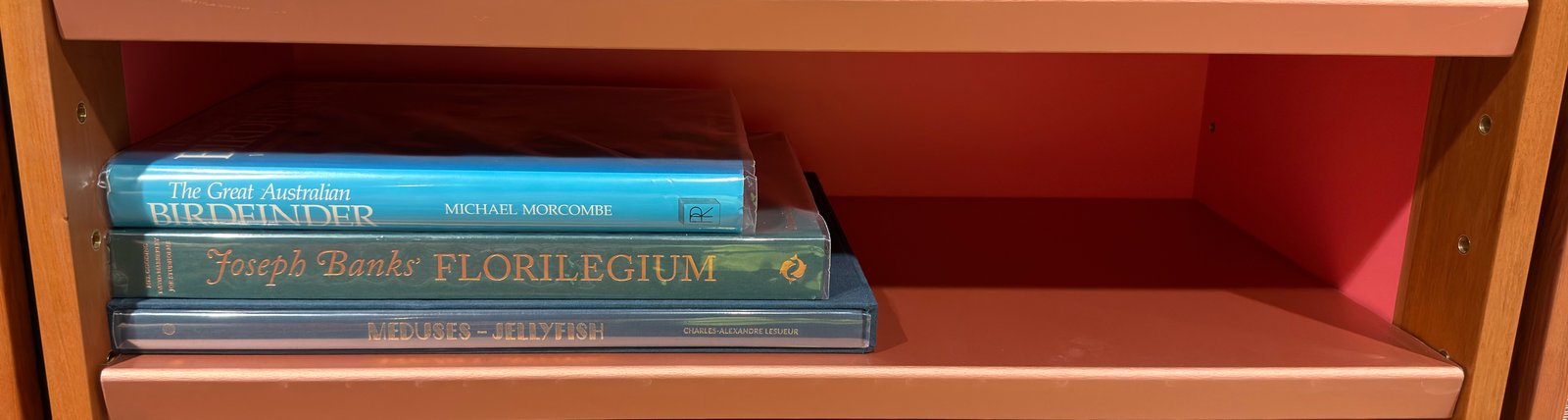 Shelfie Capture from Jun 1, 2026 4:42 PM