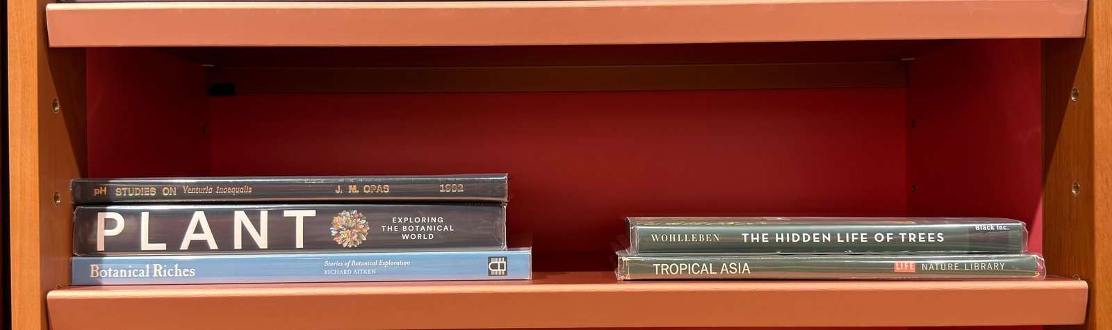 Shelfie Capture from May 27, 2026 10:56 AM