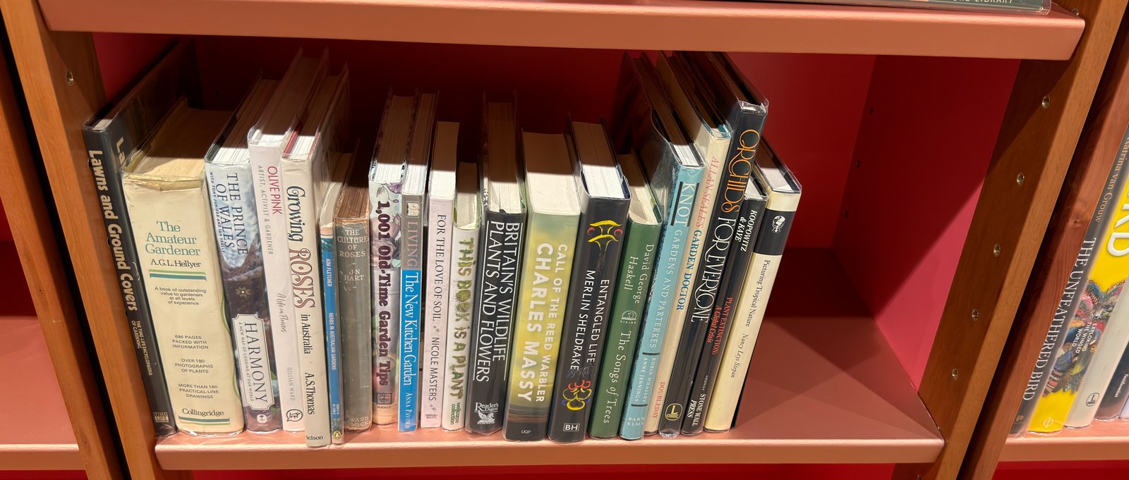 Shelfie Capture from Jun 1, 2026 4:42 PM