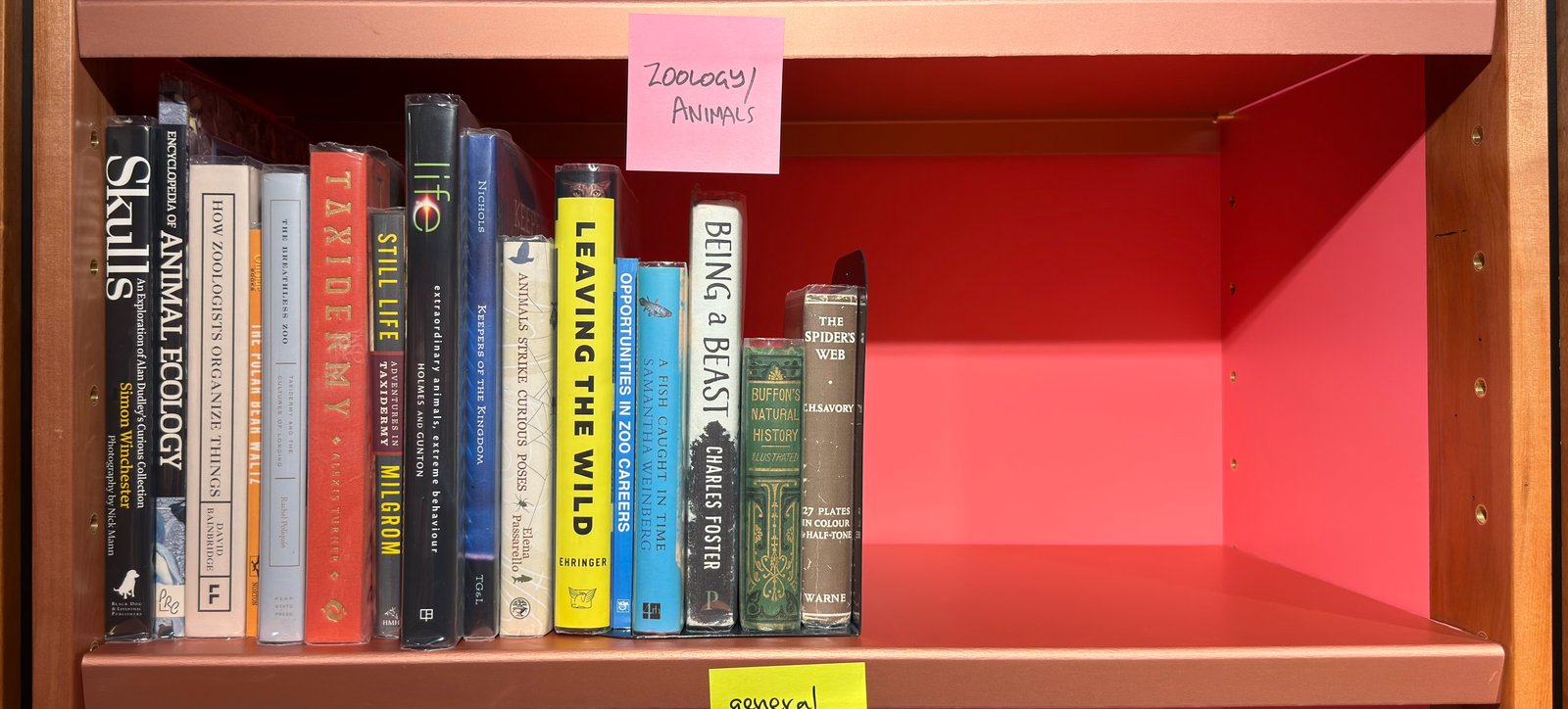Shelfie Capture from May 27, 2026 10:57 AM