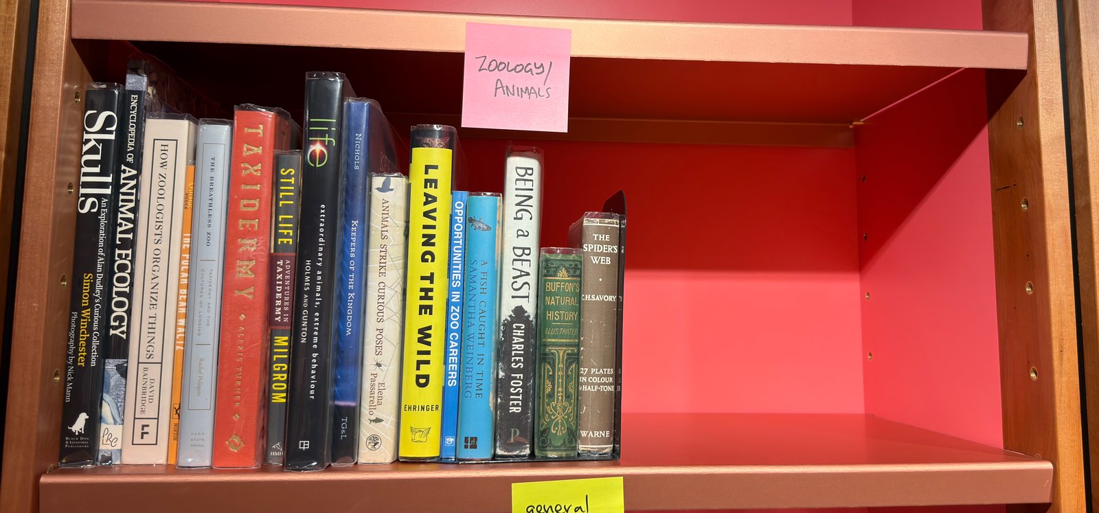 Shelfie Capture from Jun 1, 2026 4:42 PM