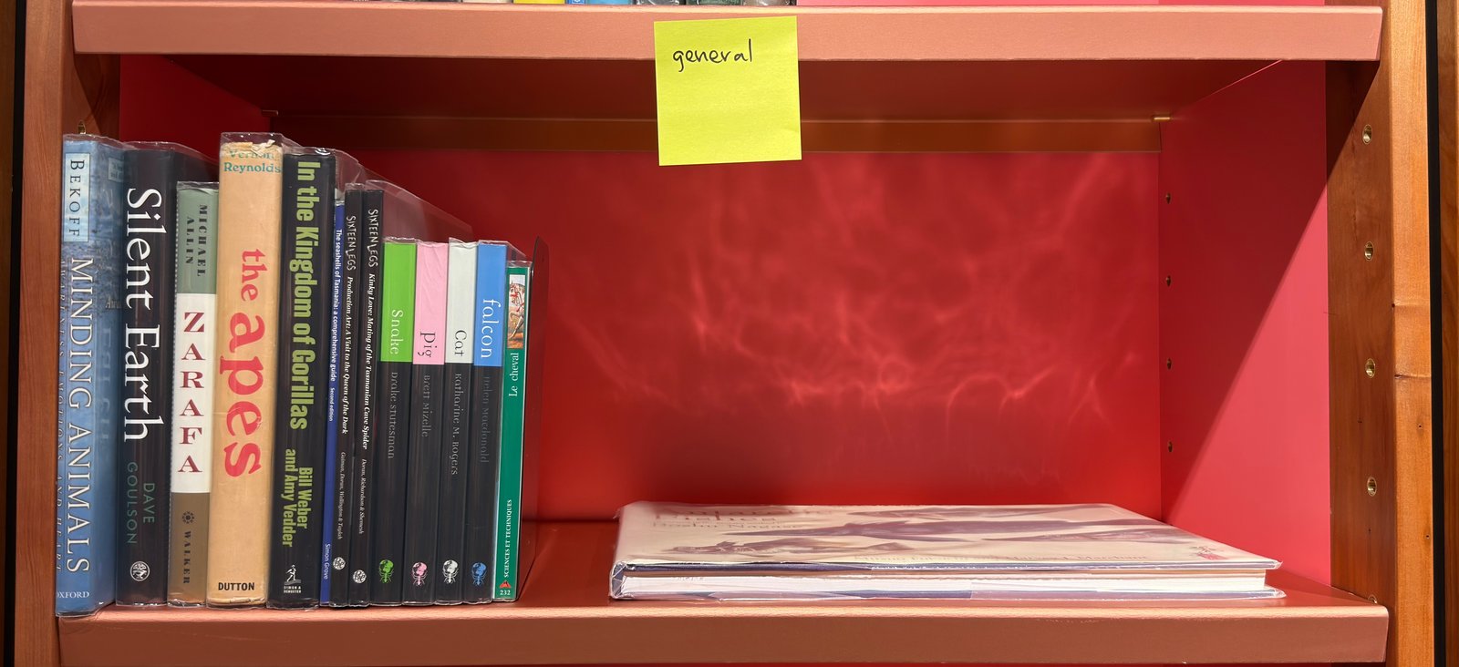 Shelfie Capture from May 27, 2026 10:57 AM