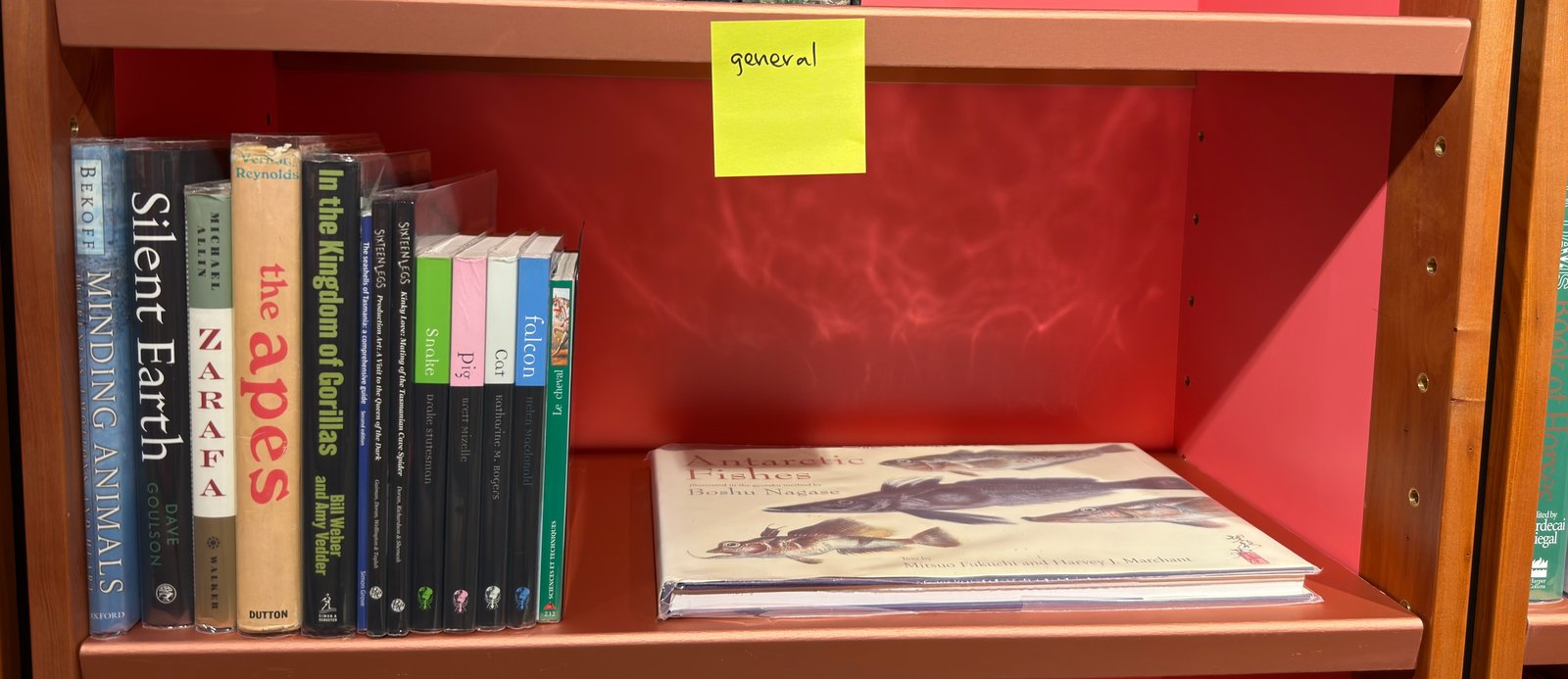 Shelfie Capture from Jun 1, 2026 4:42 PM