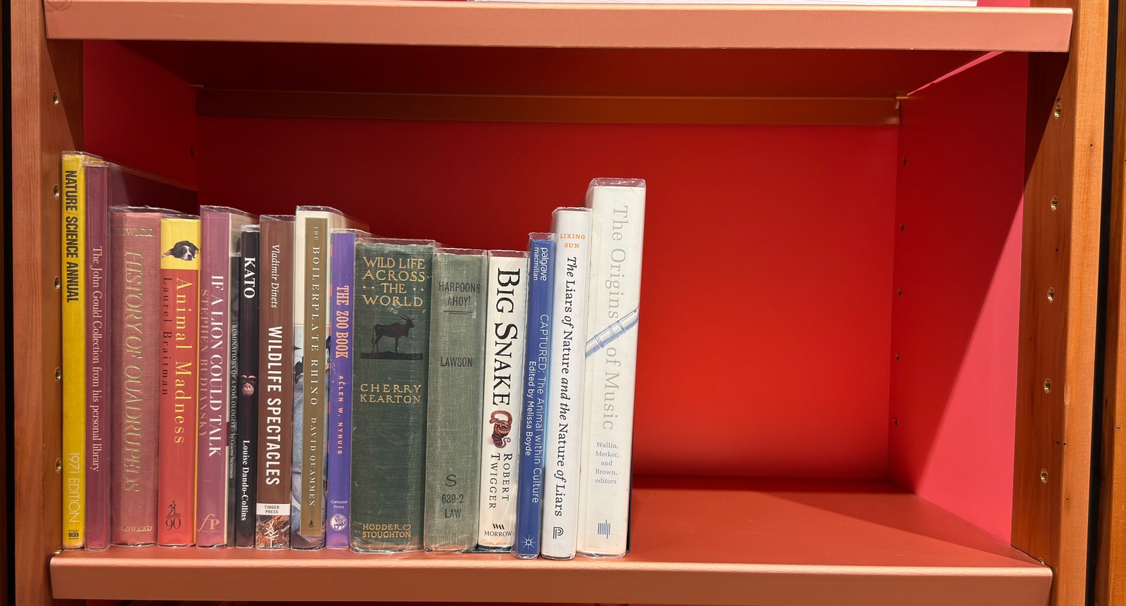 Shelfie Capture from May 27, 2026 10:57 AM