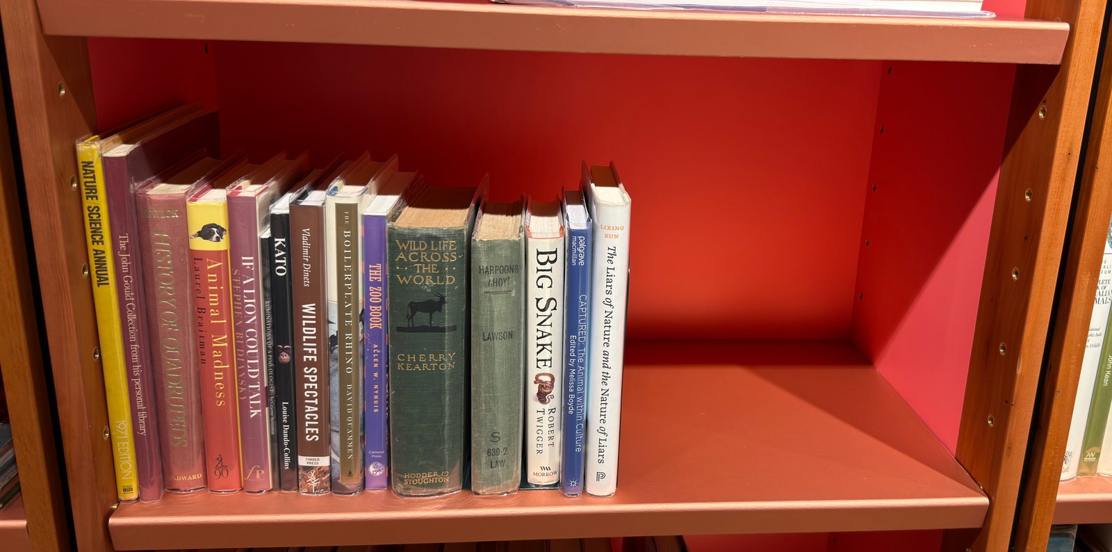 Shelfie Capture from Jun 1, 2026 4:42 PM
