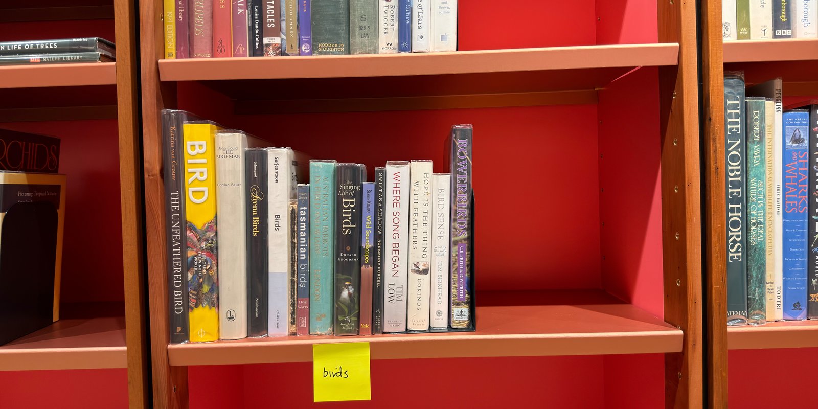 Shelfie Capture from May 27, 2026 10:57 AM