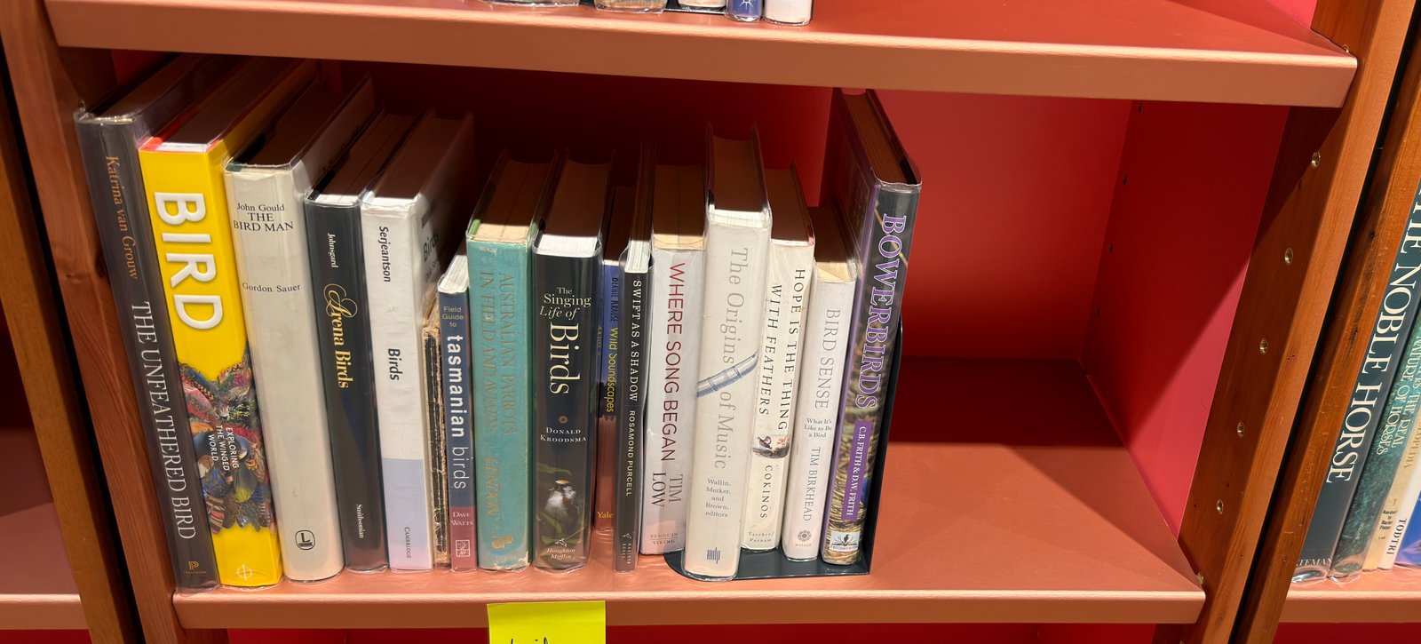 Shelfie Capture from Jun 1, 2026 4:42 PM