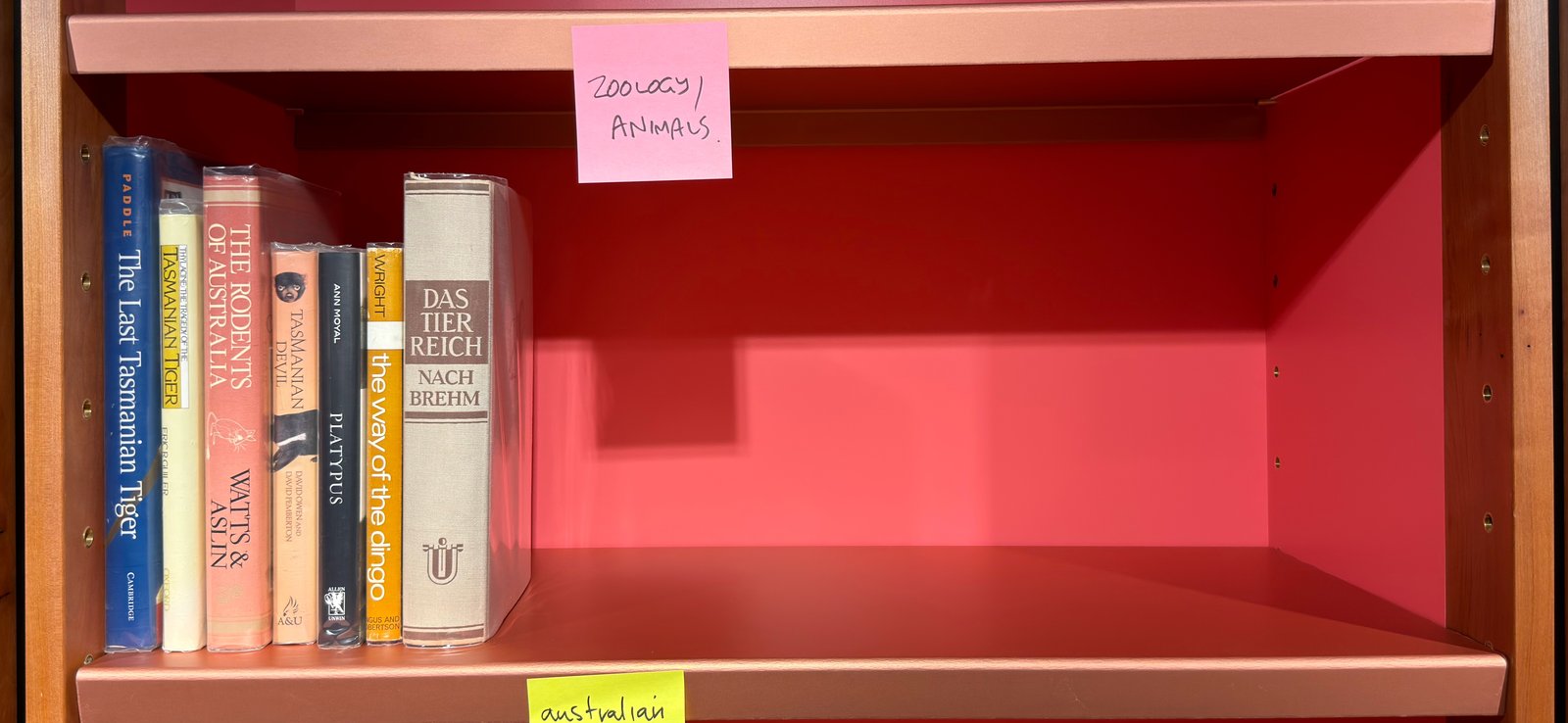 Shelfie Capture from May 27, 2026 10:57 AM