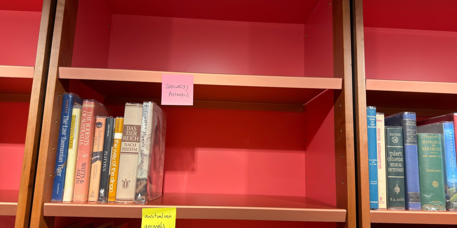 Shelfie Capture from Jun 1, 2026 4:42 PM