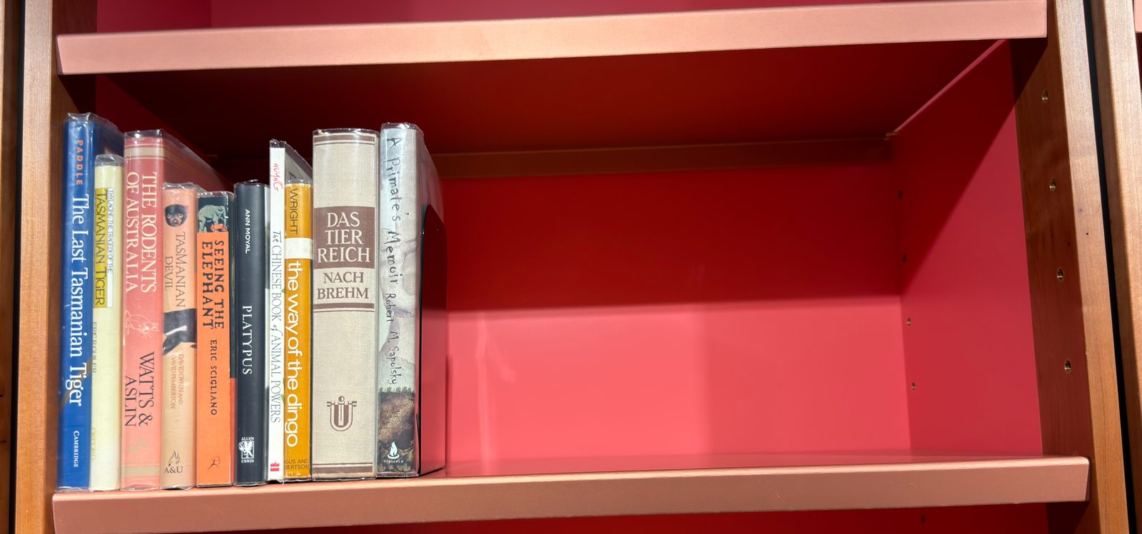 Shelfie Capture from Jun 12, 2026 2:18 PM